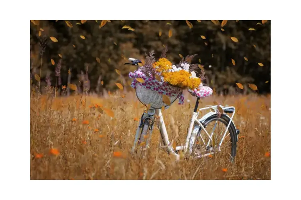 bike-flores